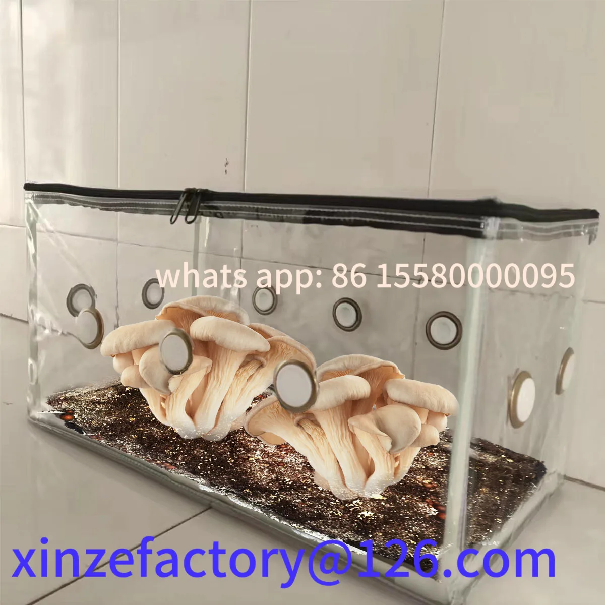 

Customizable Mushroom Household Mushroom Growth Kit Reusable Tent & Growth Bag with Rubber Stopper