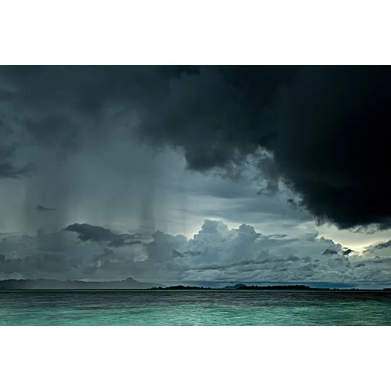 

Tiy For Toyota Hilux 2005 2006 2007 2008 2009 2010 2011 2012 2013 2014 2015Left/Right Tail Light Brake Lamp Taillight with Harne