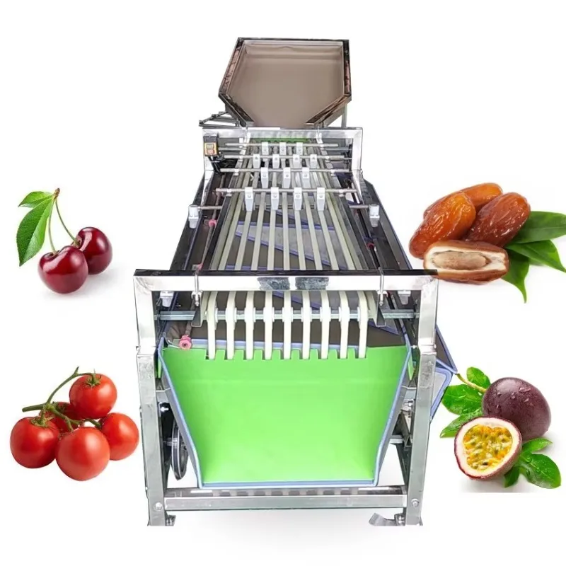 Fruit and Vegetable Sorter Cherry Date Size Grading Sorting Machine Passion Fruit Sorter Fruit Grading tomato sorting Machine