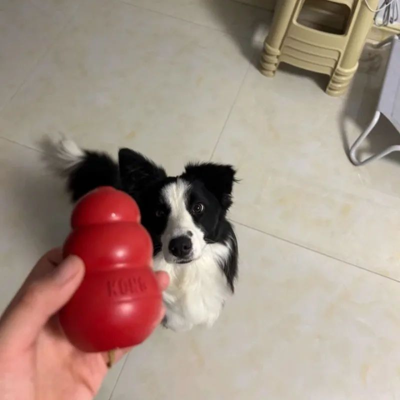 ‌Indestructible Dog Treat Ball Puzzle Gourd for Large Breeds, Natural Rubber Dishwasher Safe Stop Destructive Chewing