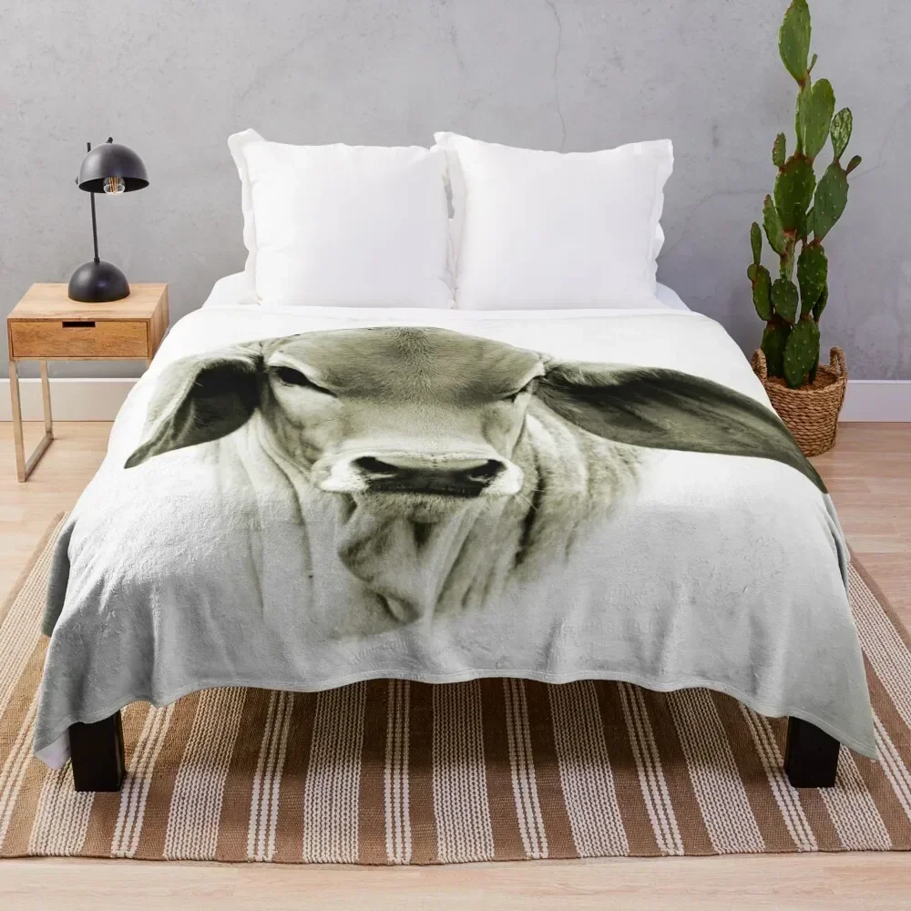 BRAHMAN CALF, WALL ART Throw Blanket