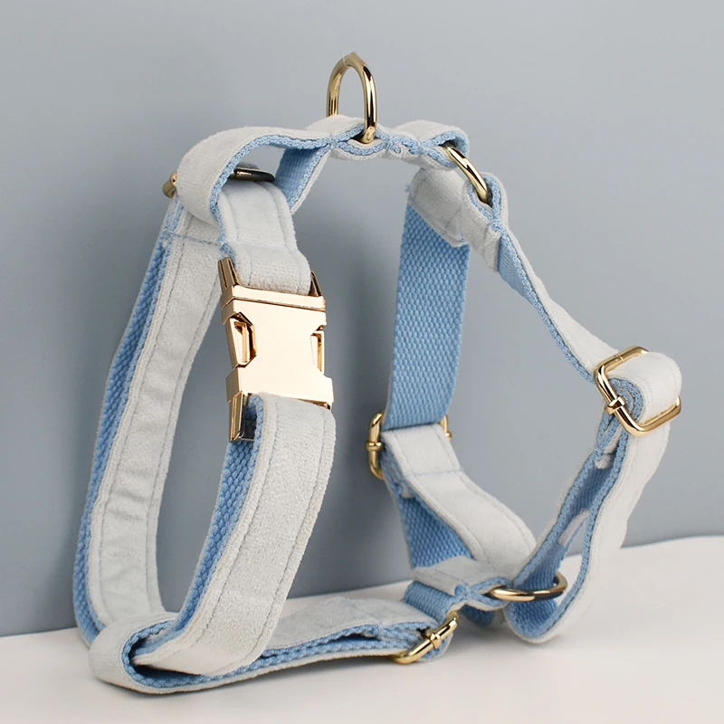 The Light Blue Velvet Dog Collar And Leash Set For Dogs Custom Engraved Nameplate Pet Supplies Dog Leash Velvet35