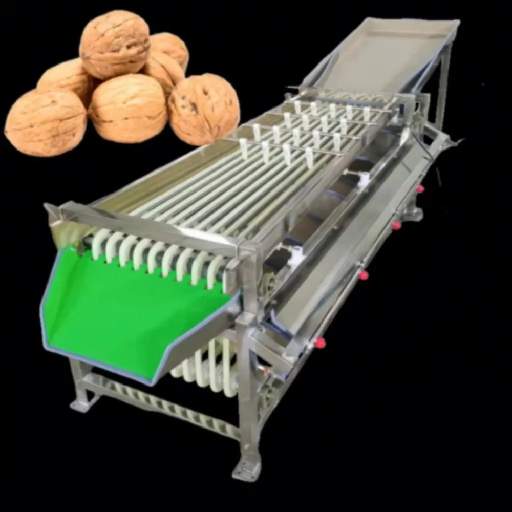 Haoli HL-1 Multifunctional 220V 0.75KW Fruit Sorter Grading Sorting Machine for Blueberry Date Tomato