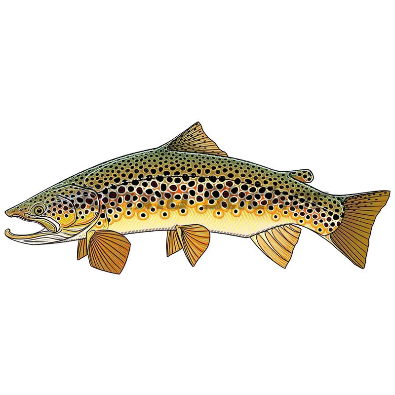

Fish Sticker Fish Skeleton Decals Sticker Perch Vinyl Sticker for Kayak Car Fisherman Fishing Waterproof Sticker