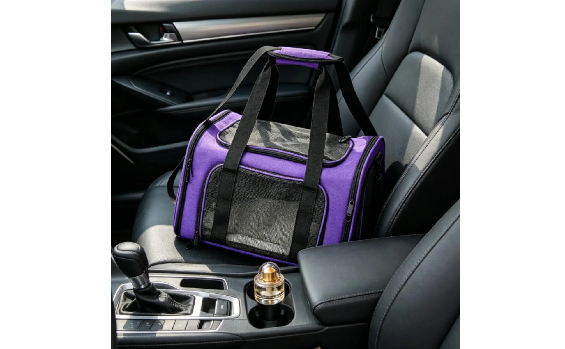 Mesh Pet Travel Carrier Foldable Design Soft Sided Pet Carrier Small Dog Travel Tote Lightweight Multiple Openings for Car Rides