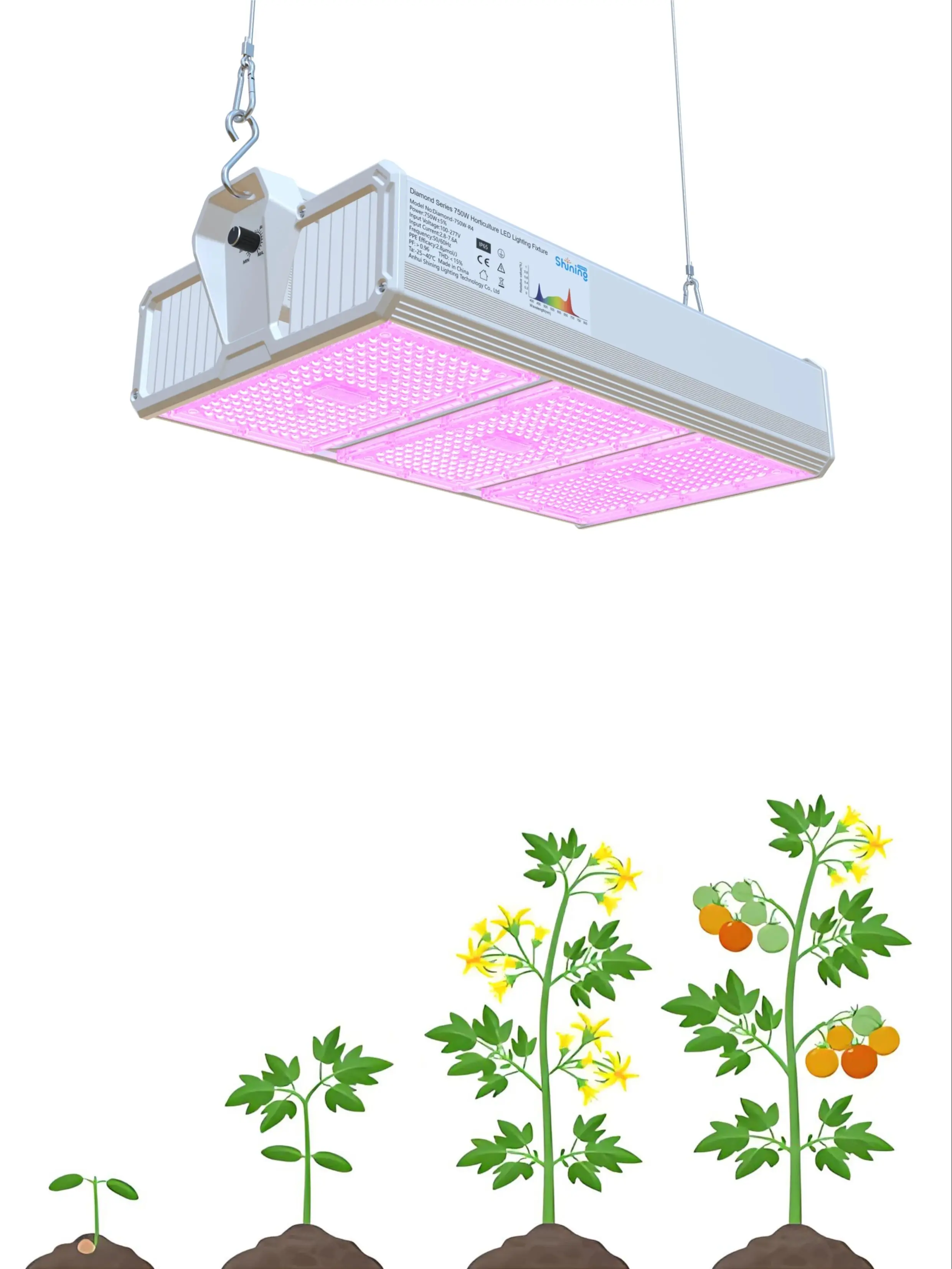 

Shining Lighting Full Spectrum LED Grow Lights 750W for Seedling, Flowering, Fruiting – Indoor Plants, Greenhouse