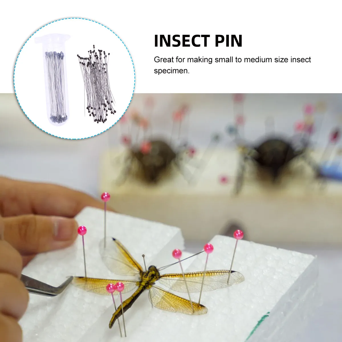 100 pcs #2 For Entomology Insect Collection Pinning Tool Entomology Pin Lab Pin For Science Education Parts