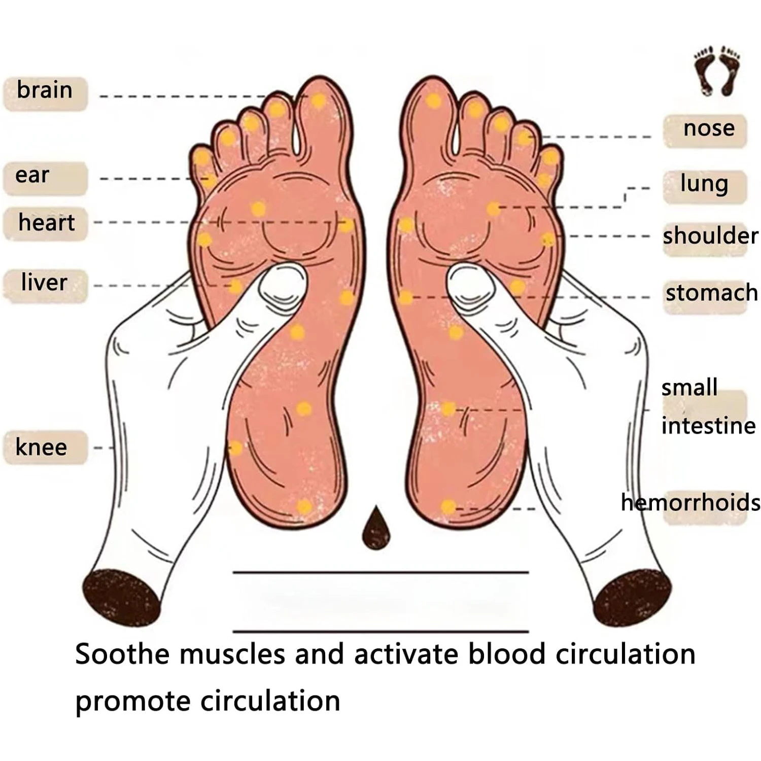 1 Pair Acupressure Socks Massage Stick Physiotherapy Full English Illustration Relieve Tired Feet Reflexology Foot Point Socks