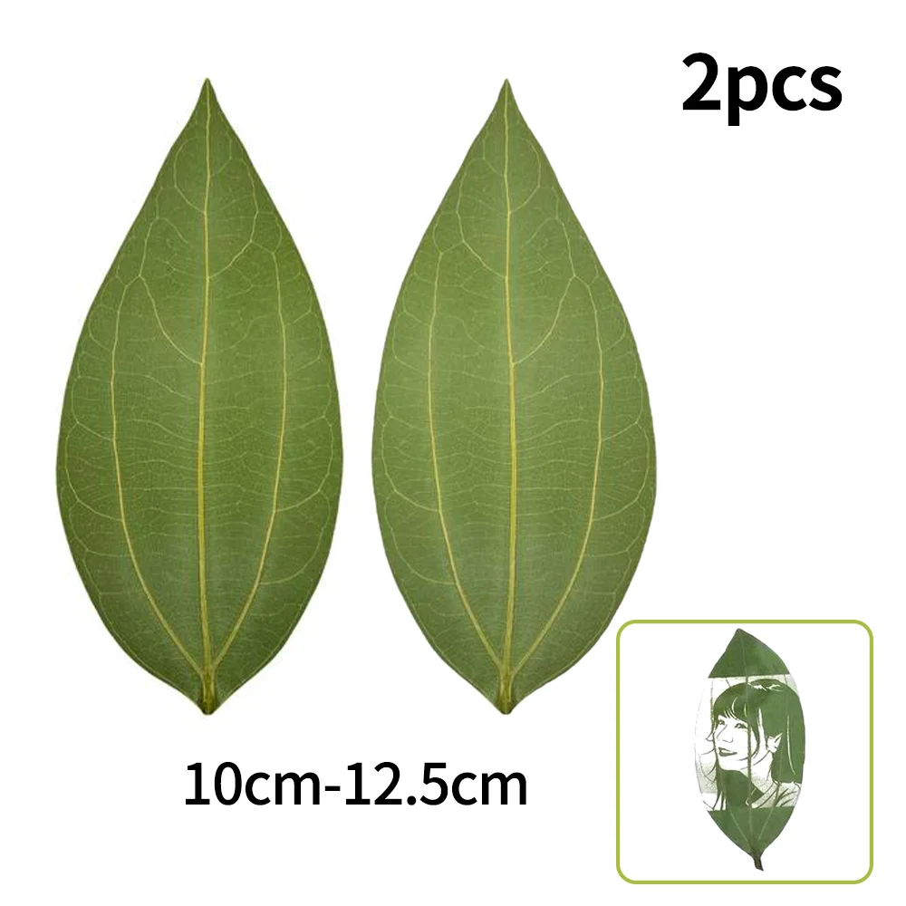 2PCS Pressed Dried Green Leaves Specimen Laser Engraving Materials DIY Tool Portrait Motifs For Laser Engraver Machine Parts