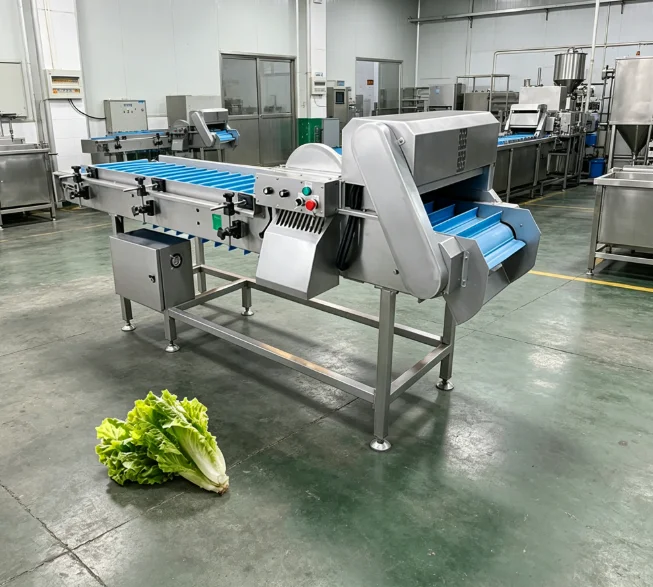 Commercial Frequency Conversion Fruit Vegetable Cutting Equipment High Speed Melon Vegetable Slicer FL Customized