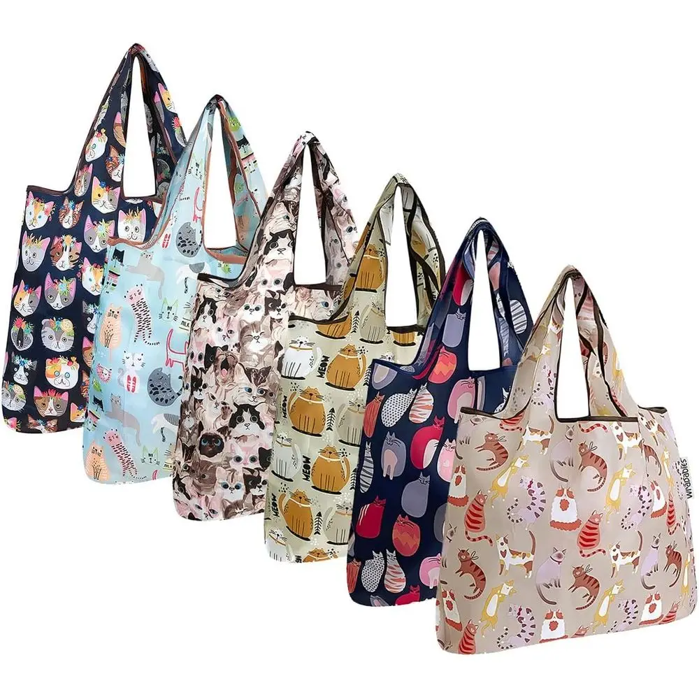 Compact 6-Pack Coll… - image