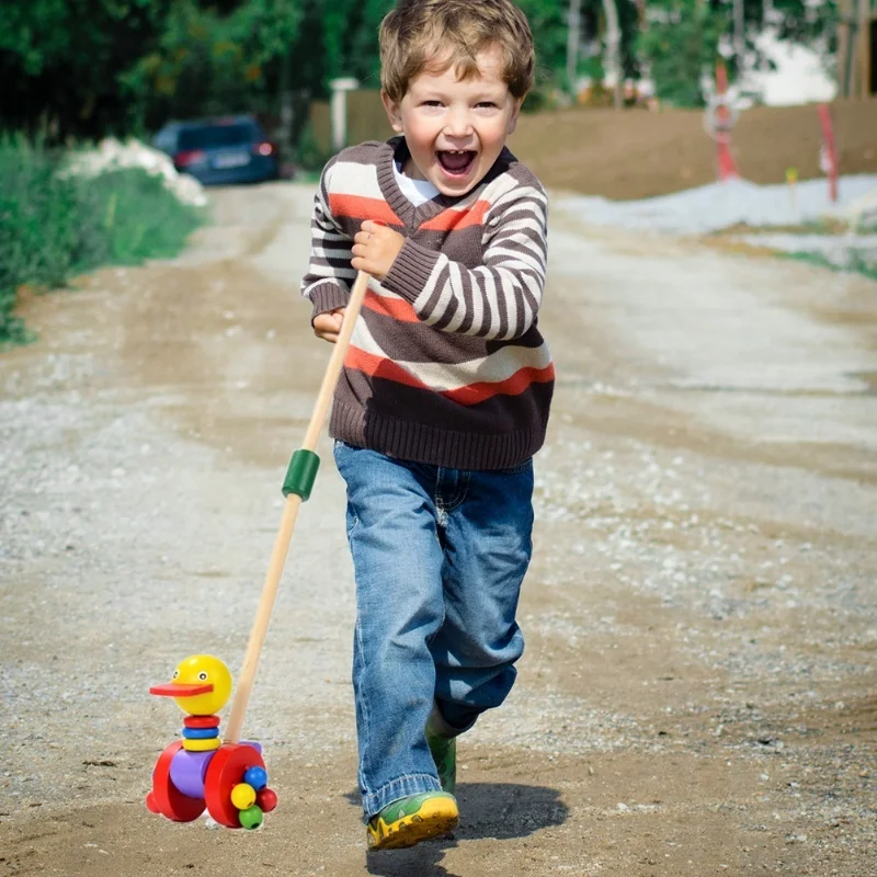 Wooden Baby Walker Wooden Push And Pull Walking Toy Kid Learn Walking Waddling Animal Push Along Toy