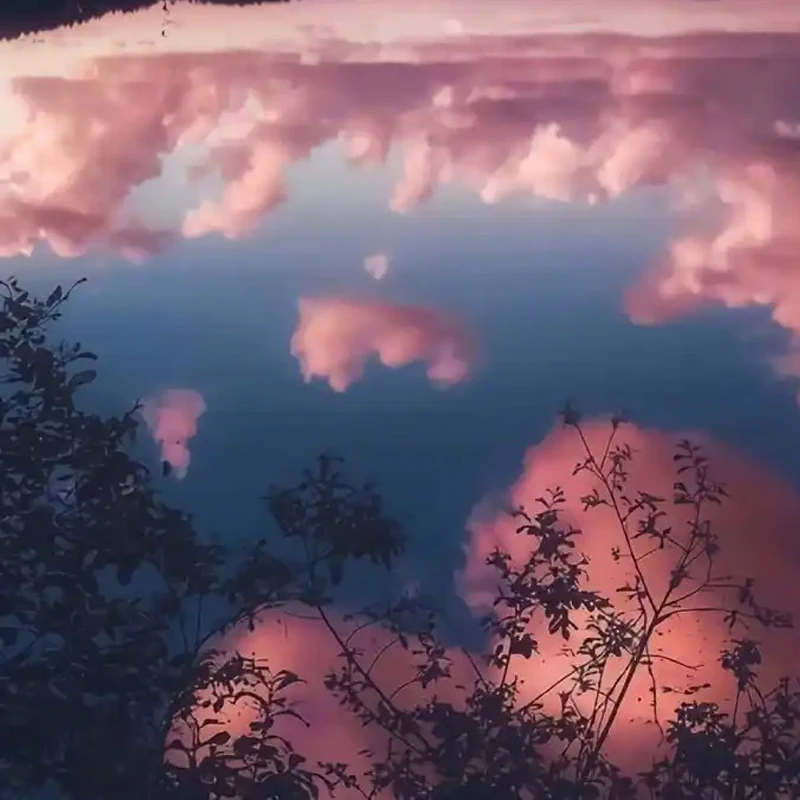 

1080P HD Birds Feeder Camera Solar Low Power APP Support Bird Watching Wireless WiFi Camera Bird Monitor,Night Vision,Waterproof