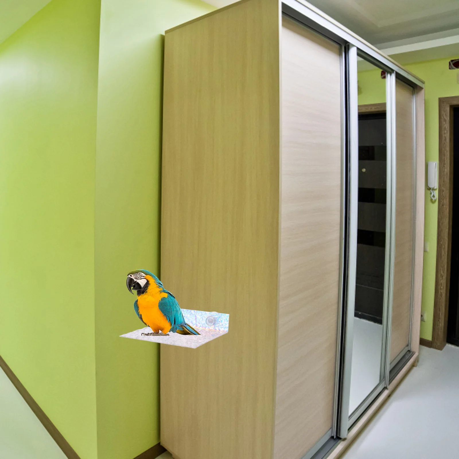 

Parrot Platform Stand Bird Perch Portable Window Shelf Cage Playstand Accessories Suction Strong Adjustable Height Pet Supplies