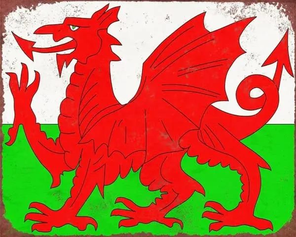 1PCS,Welsh Dragon Flag Wales Cardiff Metal Sign Tin Plaque Others Listed For Bar Bar Club Home Metal Poster Wall Art Deco Poster