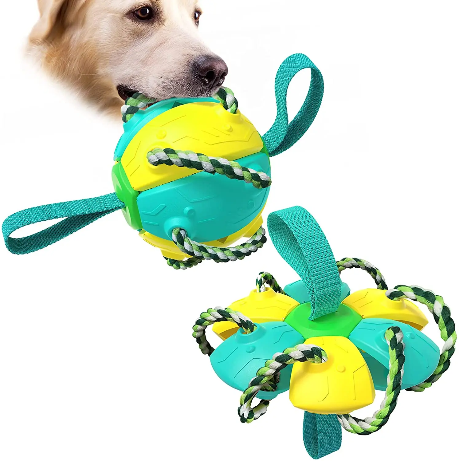 Bola de metamorfosis de Frisbee para entrenamiento de perros, juguete de muela interactivo para masticar, diversión al aire libre, Universal, novedad para las cuatro estaciones