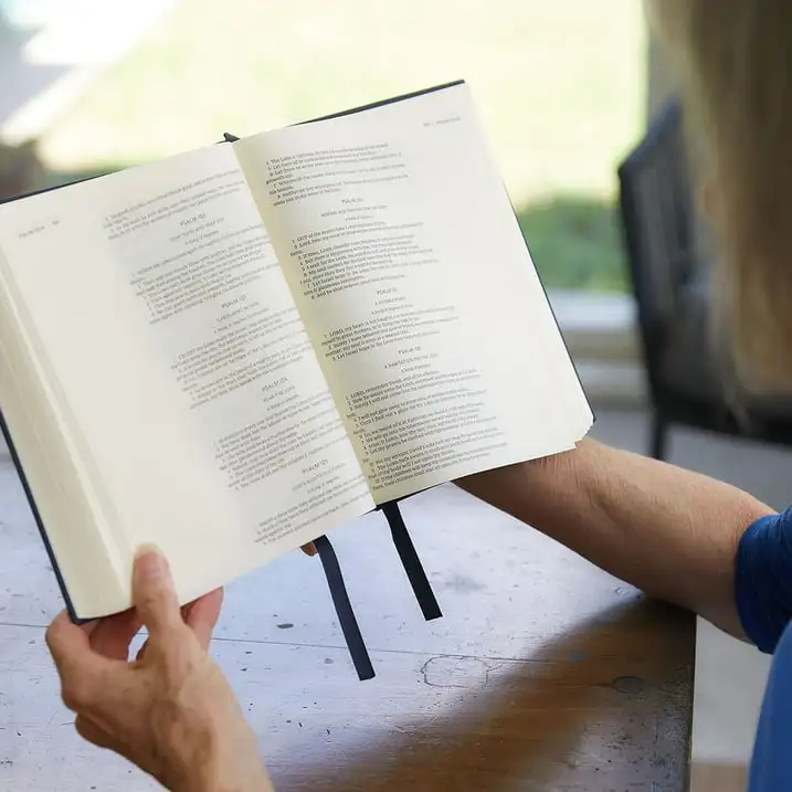 

KJV, Journal the Word Bible, Bonded Leather, Brown, Red Letter Edition