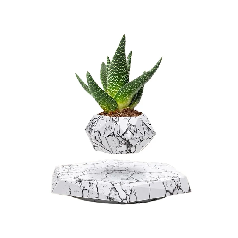 

Internet celebrity agent Intelligent technology Cultural crafts Maglev creative fashion ornaments Potted plants