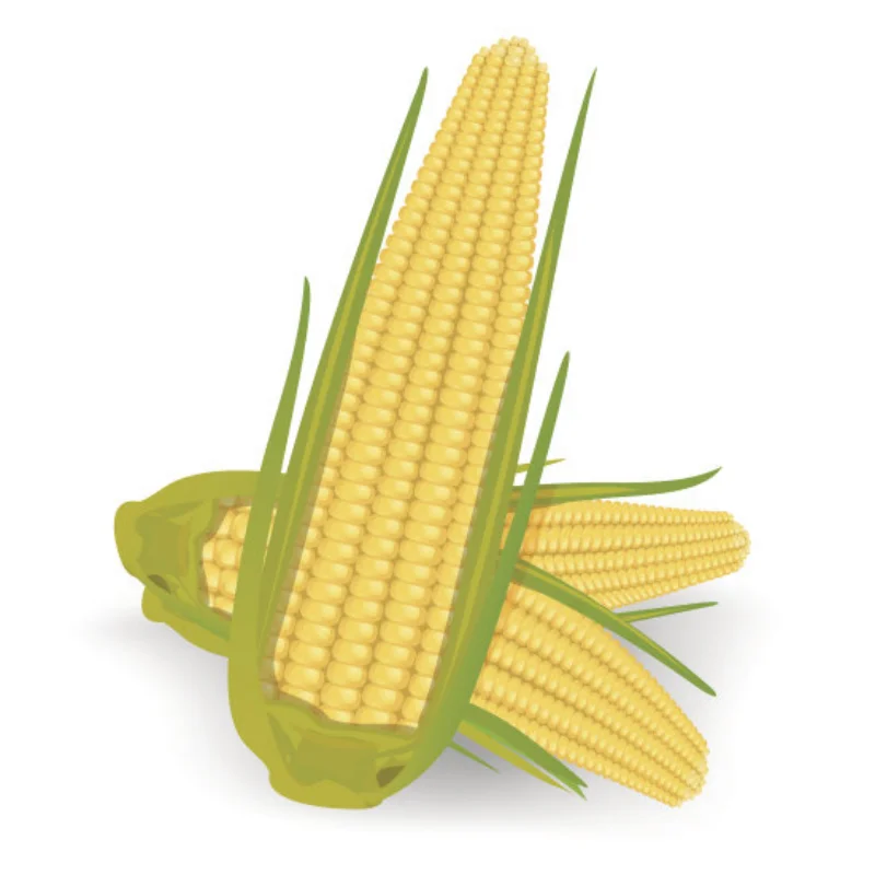 

RC Part Metal Front Rear Bumper for 1/10 RC Crawler TRX-4 Defender Axial SCX10 SCX10 iii 90046 AX103007