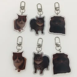 Whimsy Cat Acrylic Cat Keychain Charms - Assorted Angry Cat Designs, Durable Plastic Keyring Pendant for Backpacks, Cute Gift