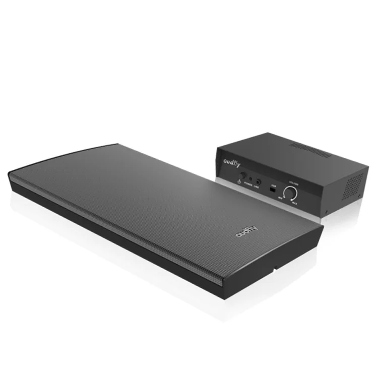 Audfly Wall Mounted Custom Ultrasonic Focused Sound Technology Supplier Best Directional Speaker for museum