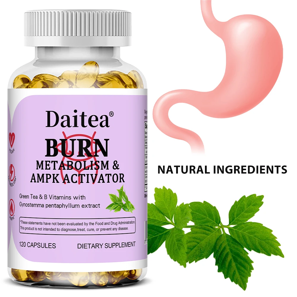 

Экстракт зеленого чая - сжигает жир, контролирует аппетит, поддерживает здоровье желоба, поддерживает уход за весом и улучшает пищеварение.