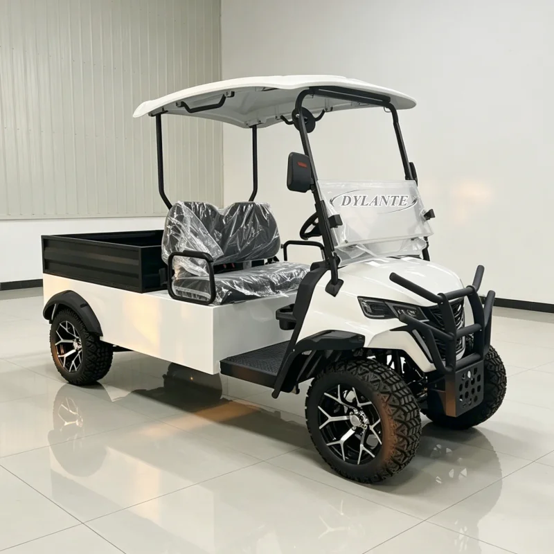 Manufacturer Customized Golf Cart 4 Wheels Passenger Passenger 4 6 Seater Small Electric Golf Buggy with Cargo Box