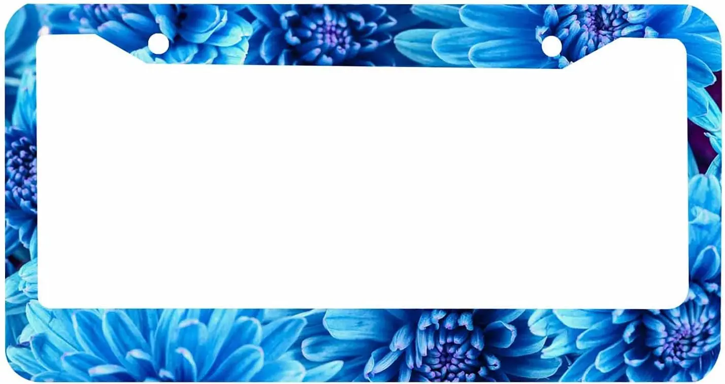 

License Plate Frame Blue Chrysanthemums Flowers Car Tag Cover Aluminum Auto License Plate Holder for Men Women 12x6 Inch