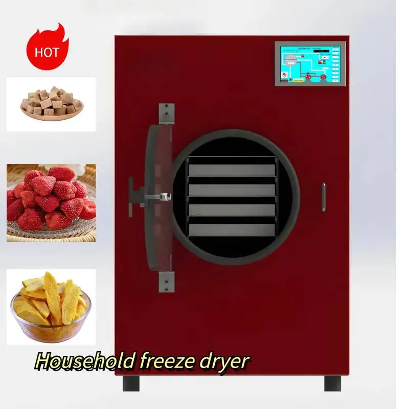 Commercial Stainless Steel Vacuum Freeze Dryer Machine for Food Processing Eco-Friendly & Energy Saving Model