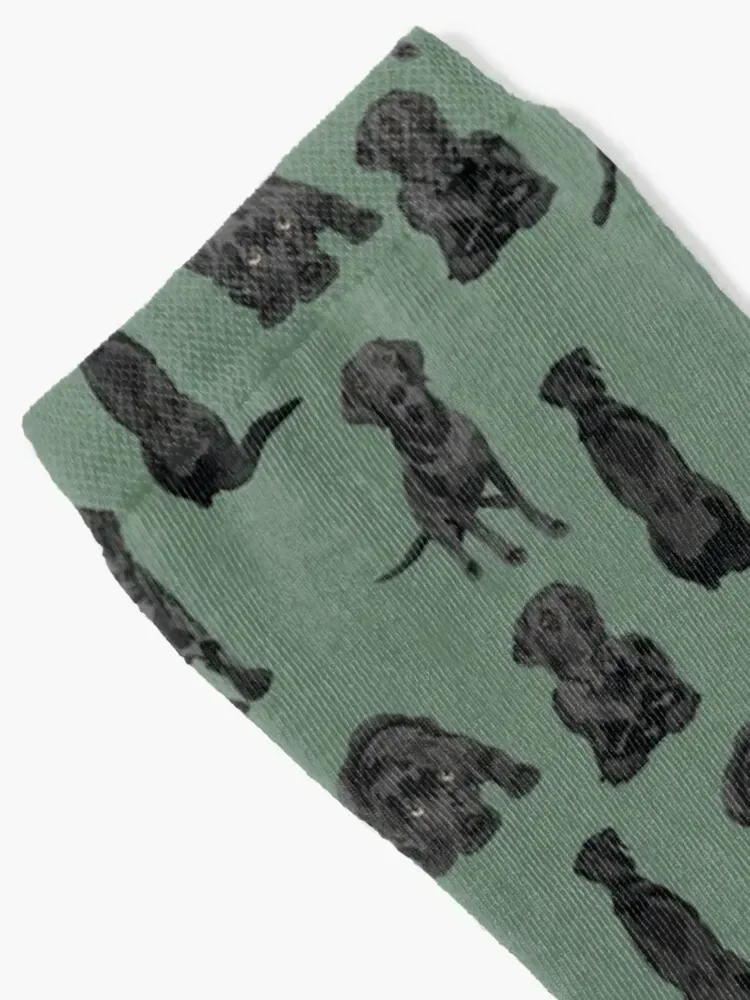 Black Labrador Socks crazy sheer Socks For Girls Men's