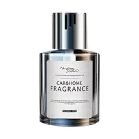 Car Perfume Air Vent Car Mist Humidifier Perfume Car Fragrance Aromatherapy Essential Oil Fragrance Diffuser