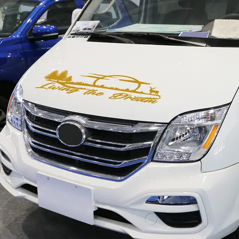 10 best sales hyundai h1 2010 - №10