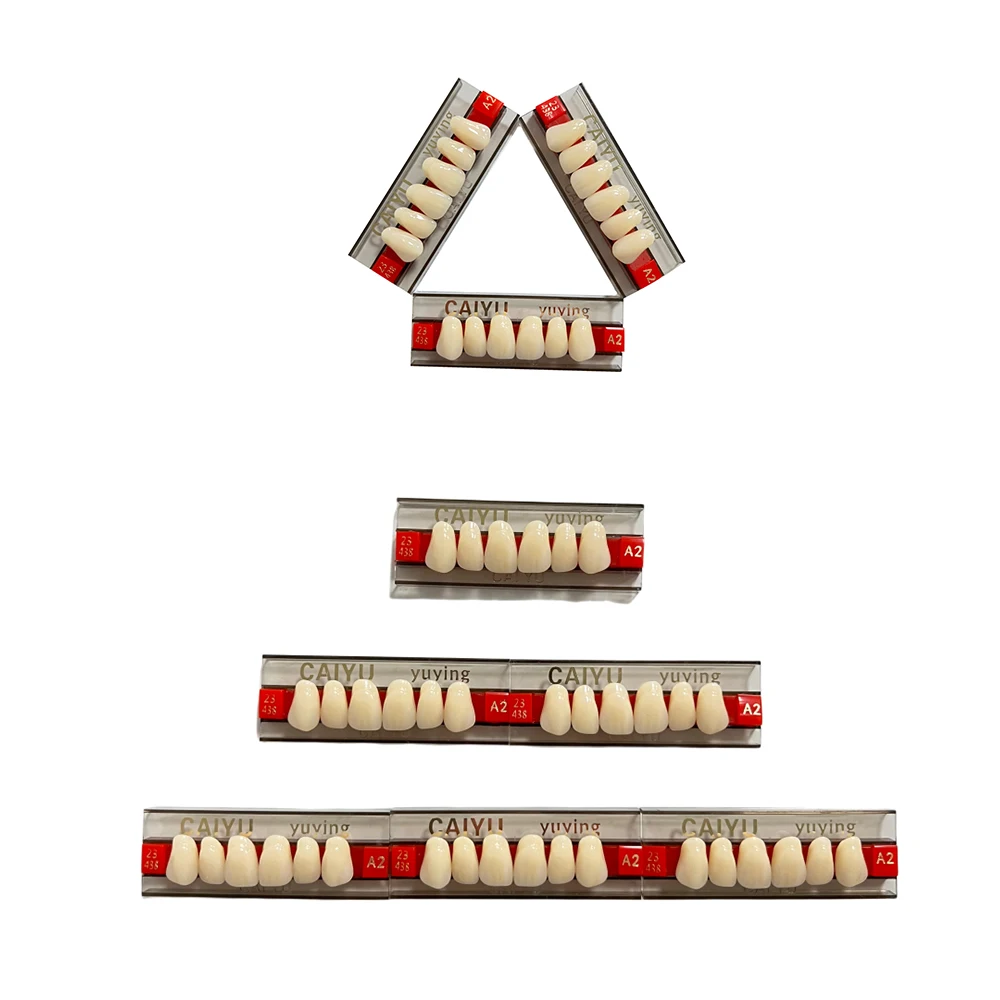 Thumbnail 3 - #49 Dental Teaching Models List of Top Picks