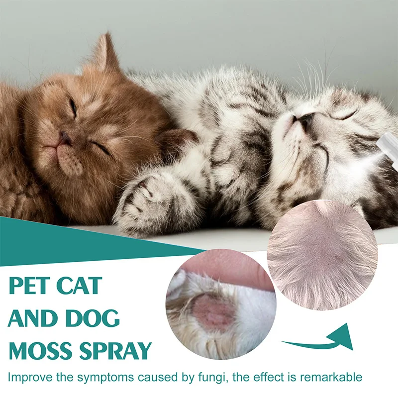 Spray for Fleas Pet Insecticicid Anti Flea and Tick Fighting Antiparasitic Dogs Control Against Cats Itching Stop Health Care