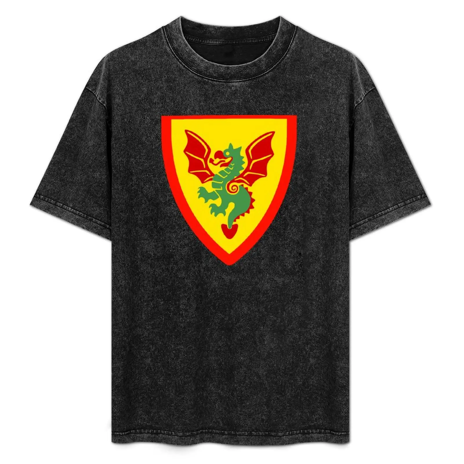 

Dragon Masters T-Shirt Lightweight Casual Summer T-Shirt