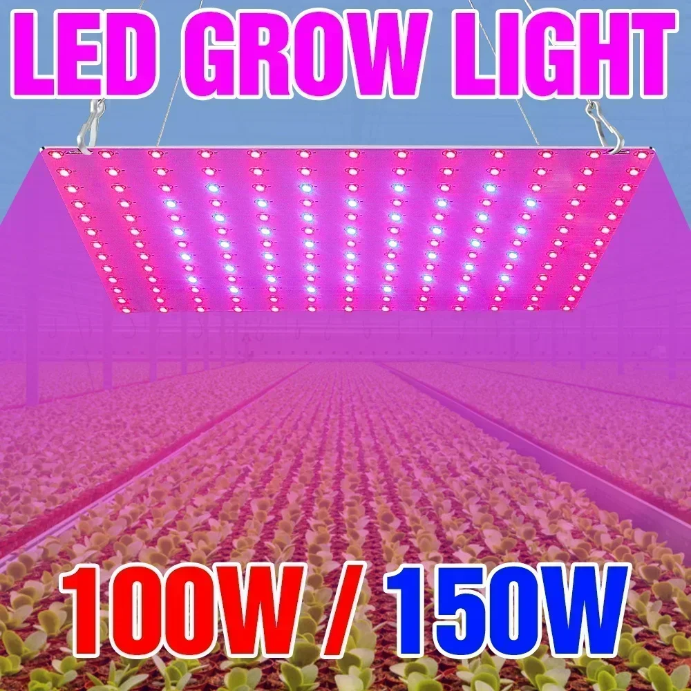 lampada-de-cultivo-led-de-espectro-completo-150w-220v-quantum-board-para-hidroponia-iluminacao-para-cultivo-de-vegetais-frutas-e-sementes-em-estufas-e-tendas