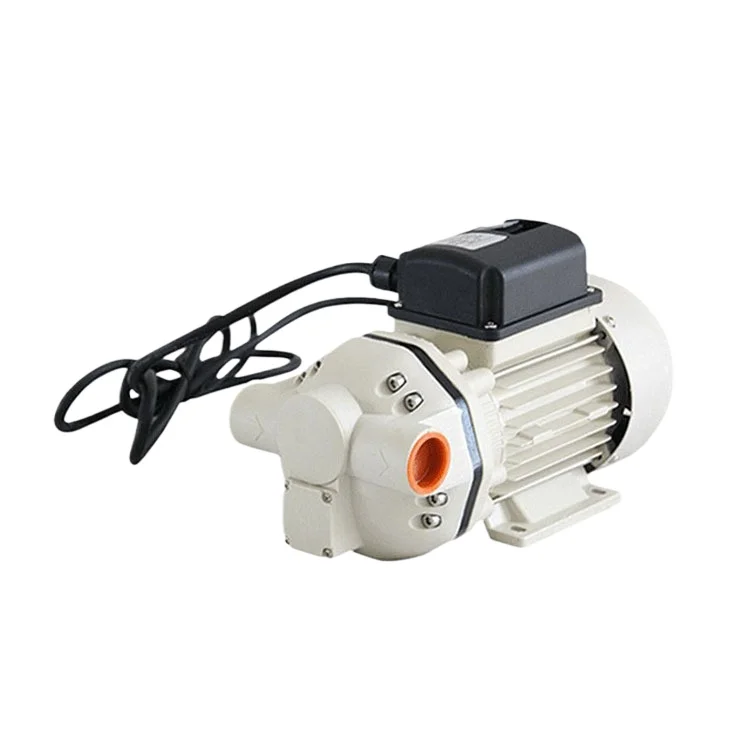 12/24V/220V Agricultural Oil Filling Pump Truck Corrosive Chemical Urea Diaphragm Pump