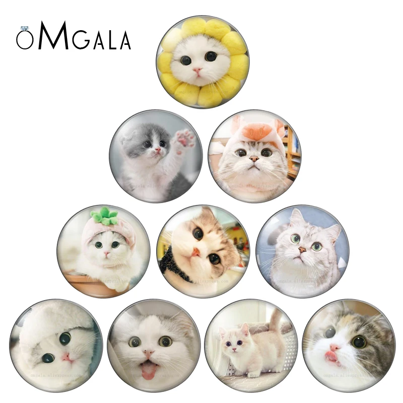 Cute CAT 10pcs mixed 12mm/18mm/20mm/25mm glass snap button Round photo glass cabochon demo flat back Making findings