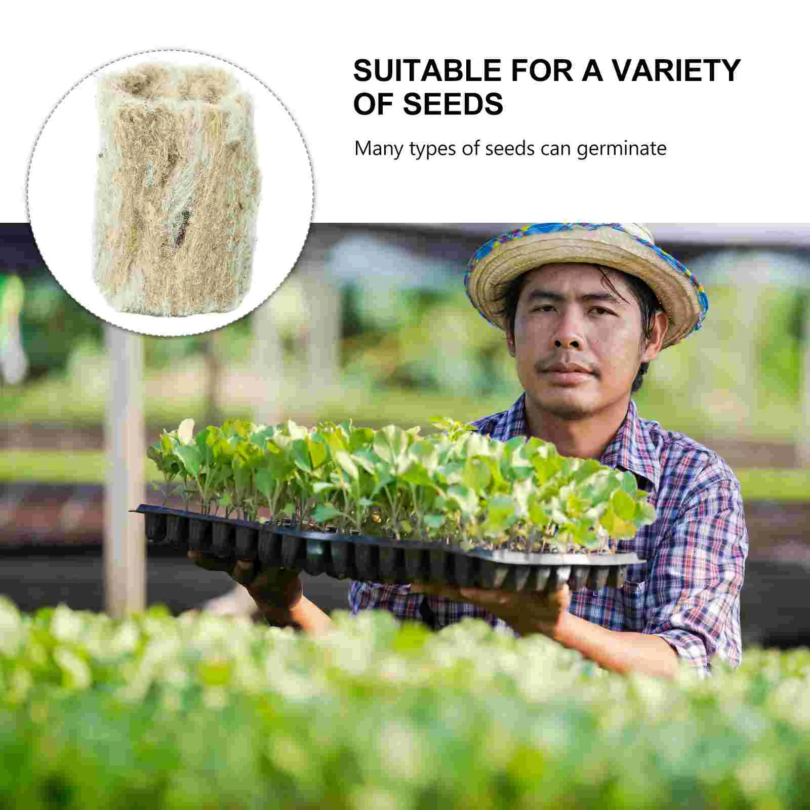 20 Pcs Wool Plug Soilless Cultivation Hydroponic Planting Seeds Round Gardening Tools