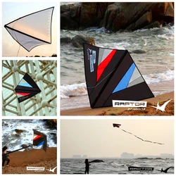 free shipping Freilein Kite single line kites for adults kites flying indoor kites hovering eagle kite professional kite kevlar