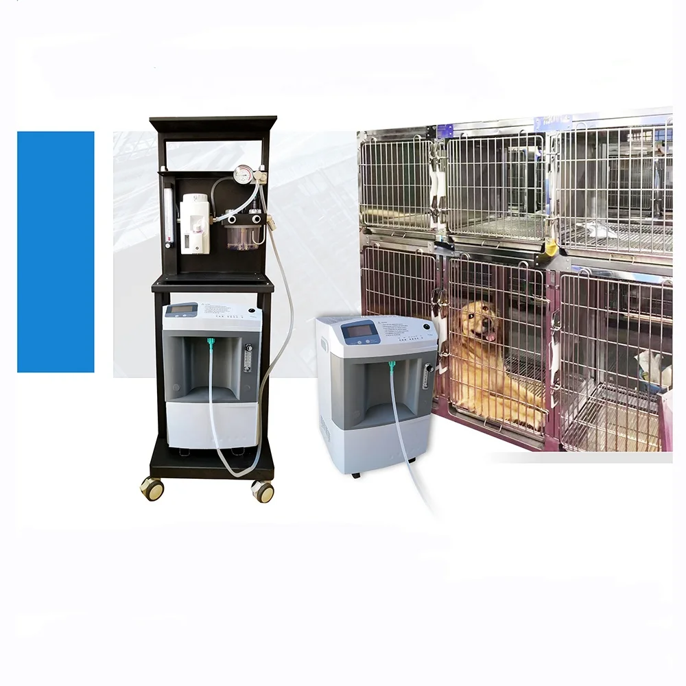 Veterinary Equipments: PROC-JAY10 High Quality Veterinary use 10L/min Oxygen Concentrator with Cheap Price