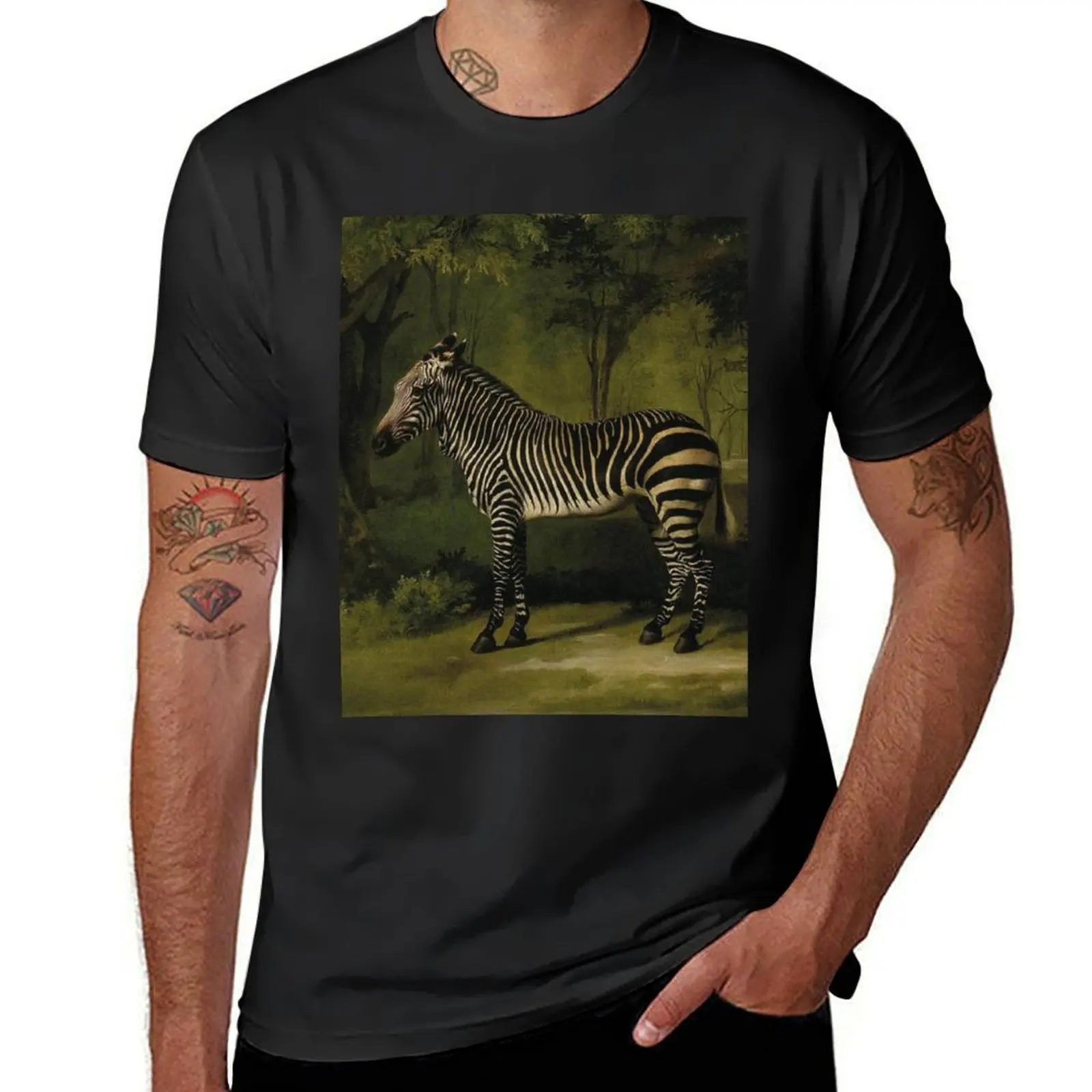 Zebra by George Stubbs T-Shirt oversizeds Short sleeve tee for a boy t shirt for men