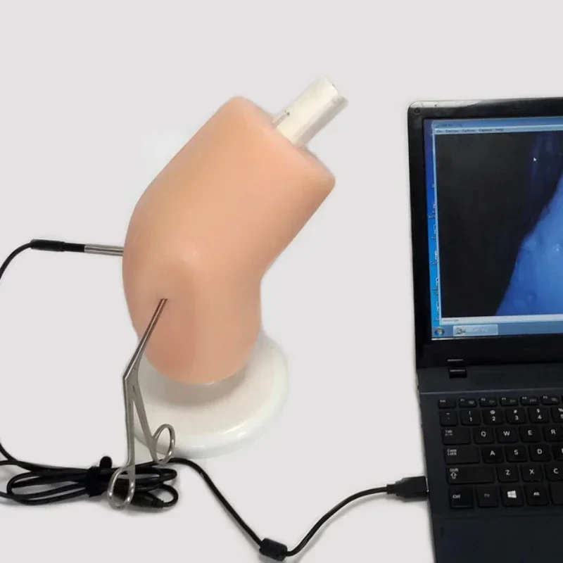 Hot Sales A Simulator That Provides Students With Arthroscopic Trainers
