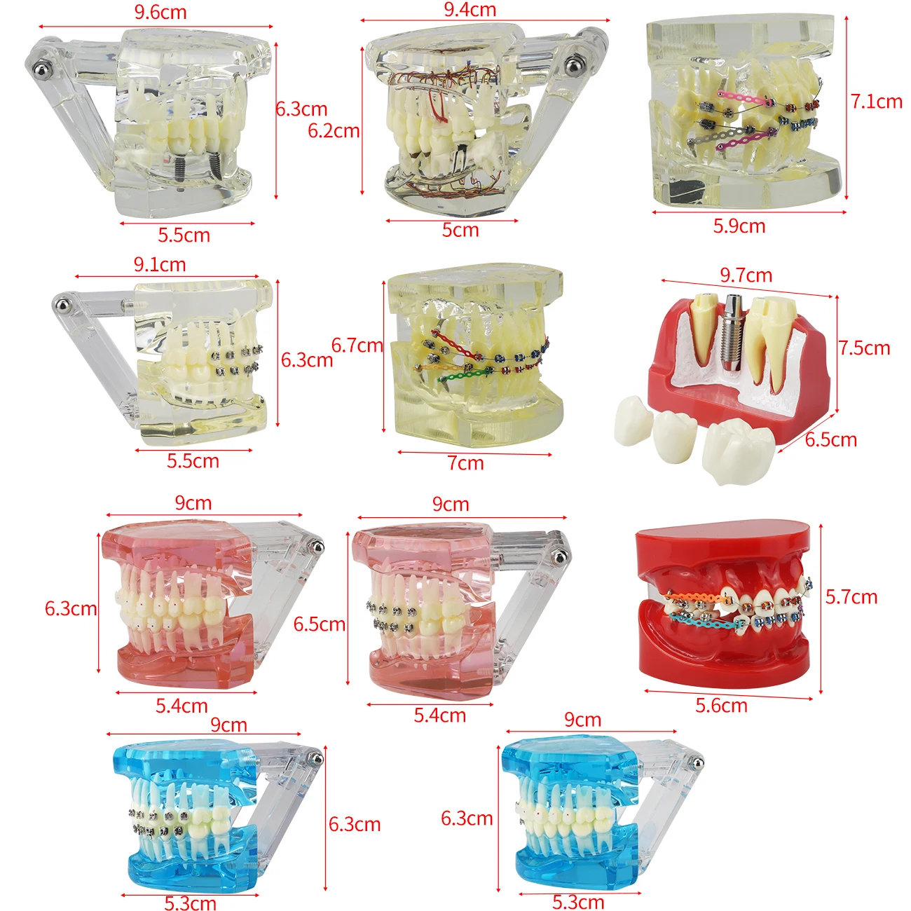 Nowa choroba implantu dentystycznego Model zębów Model ortodontyczny nauczanie nauka medyczna praktyka ortodoncja Model leczenia