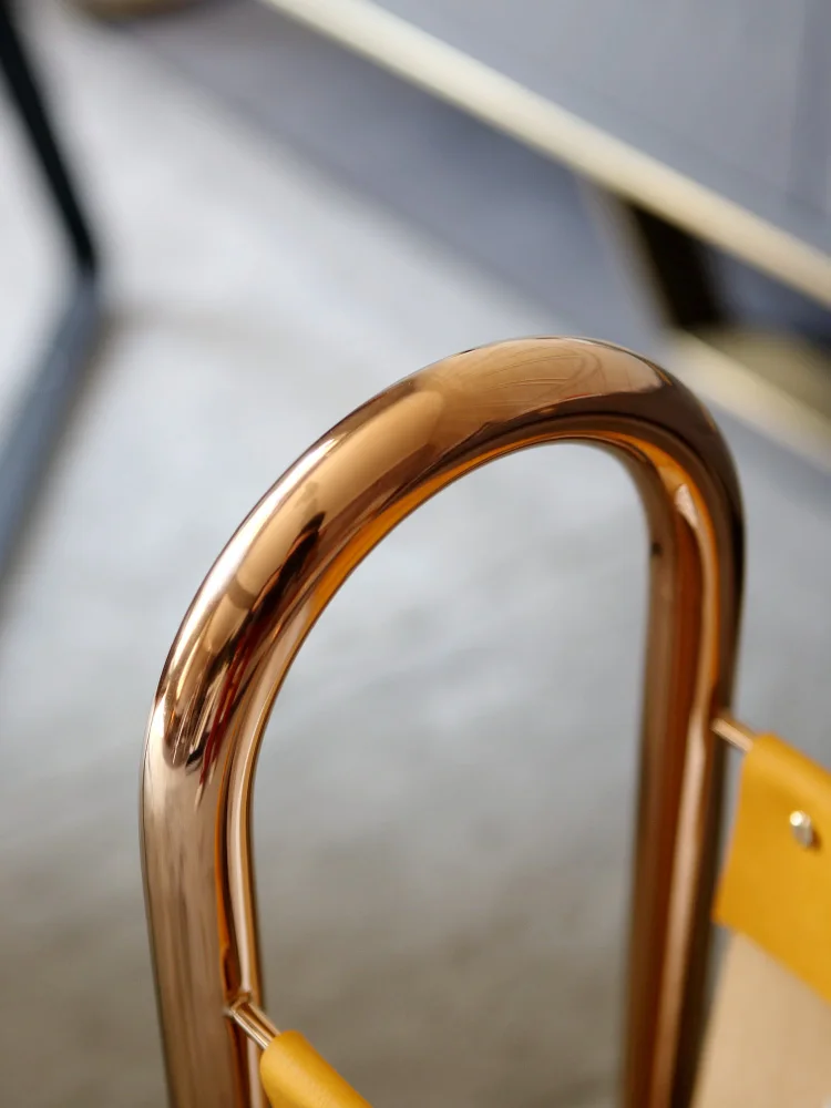 Light Luxury Modern Metal Leather Magazine Frame Newspaper Rack Study Storage Creative Portable Bookshelf Shelf Shelves