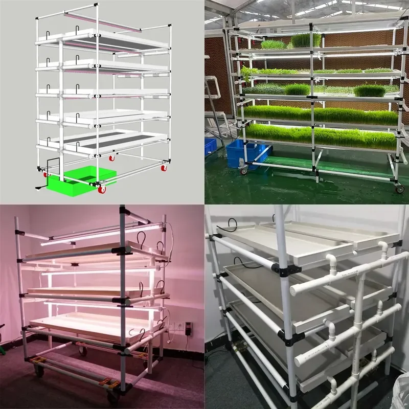 2x1.5x1.2M Vertical Hydroponics Rack System Agricultural Planting Kit with Pump and Seed Germinator for Vegetables