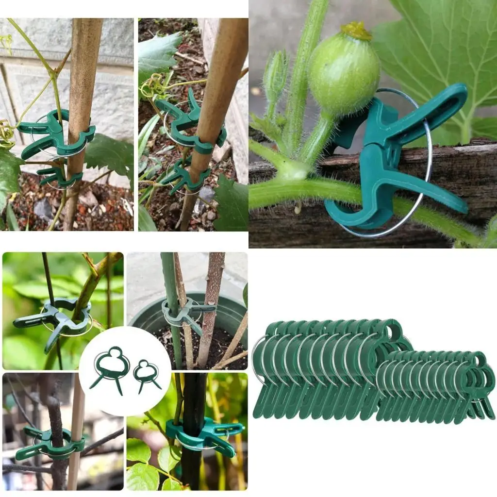 

E8BD Plant Clips 20Pcs Reusable Plastic Gardening Accessories Fixing Plants Clamp for Flower Vine Vegetables Tomatoes Climbing