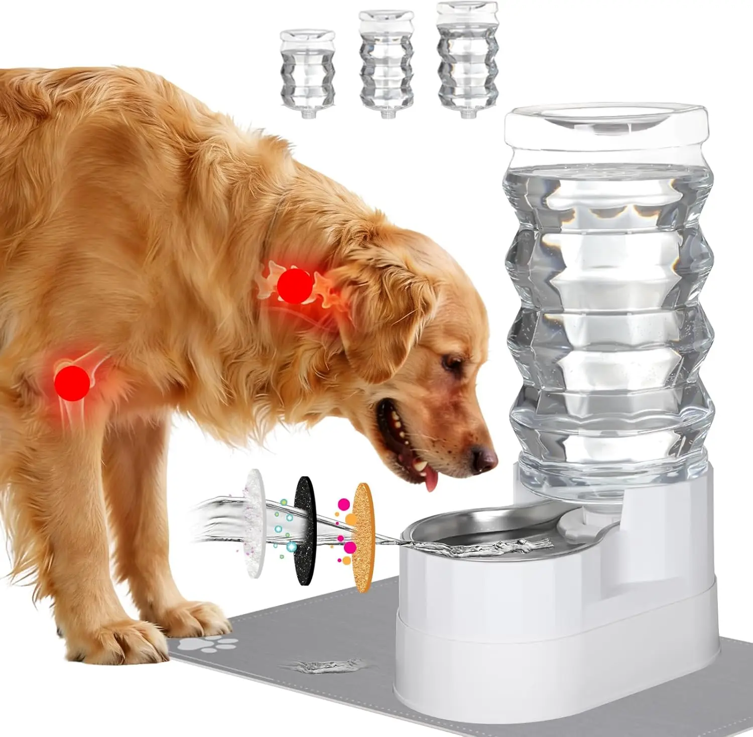 

Large Automatic Stainless Steel Gravity Pet Feeder with Triple Filter for Senior Dogs, 9L Capacity