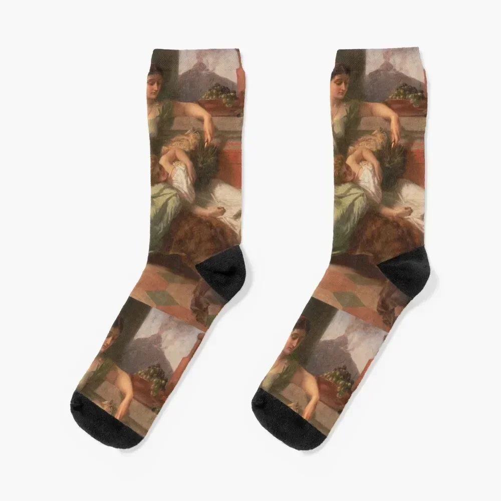 Pompeii AD 79 by Alfred Elmore Socks floral cotton custom winter thermal Socks Woman Men's