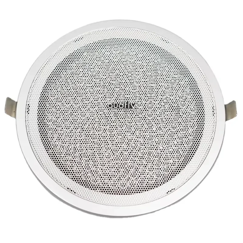 Hot Sale Audfly R2 Model Built-in Amplifier Round Directional Speaker